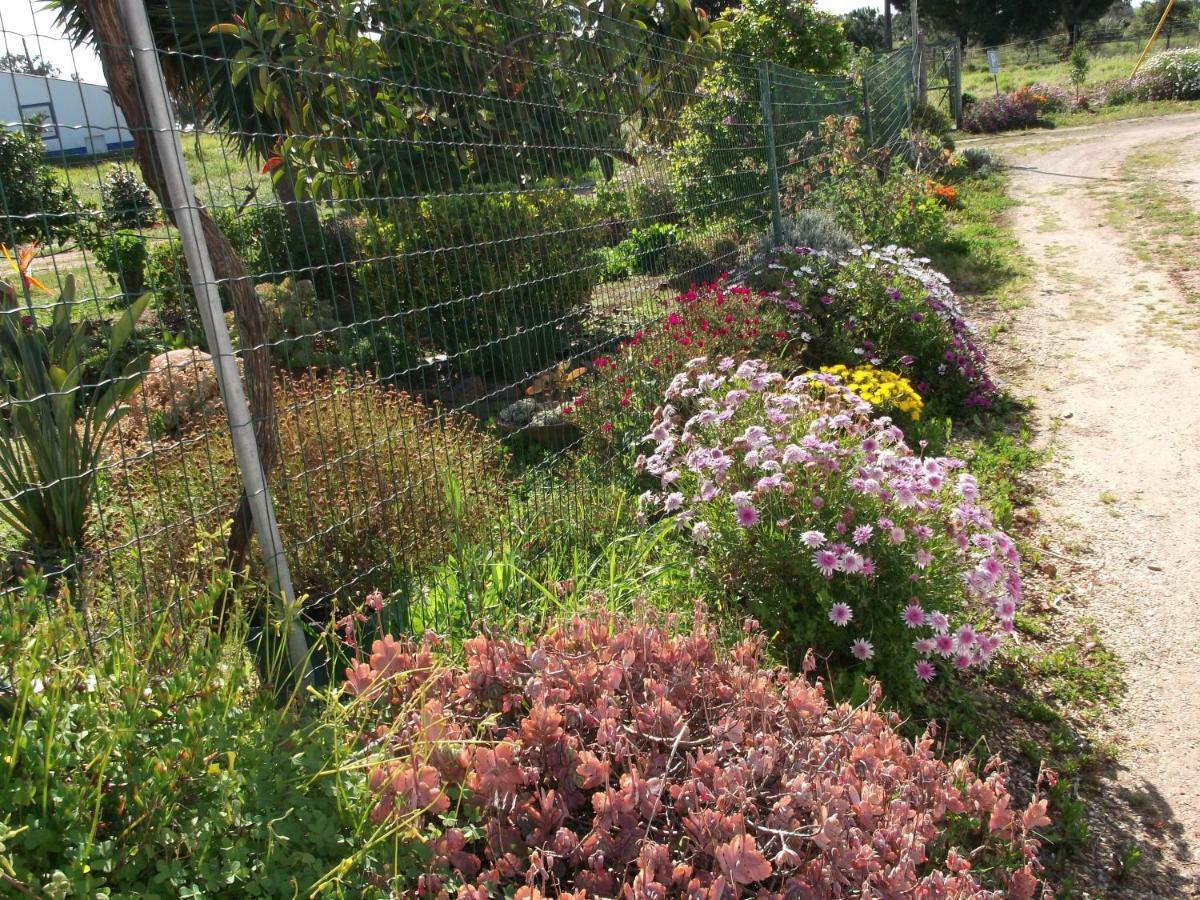 מלון Grândola Quinta Do Pinheiro מראה חיצוני תמונה
