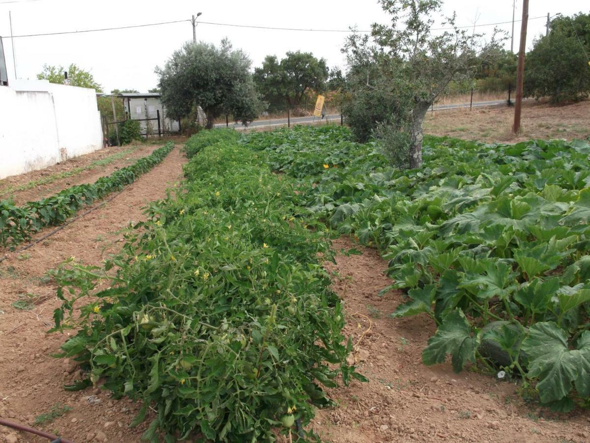 מלון Grândola Quinta Do Pinheiro מראה חיצוני תמונה